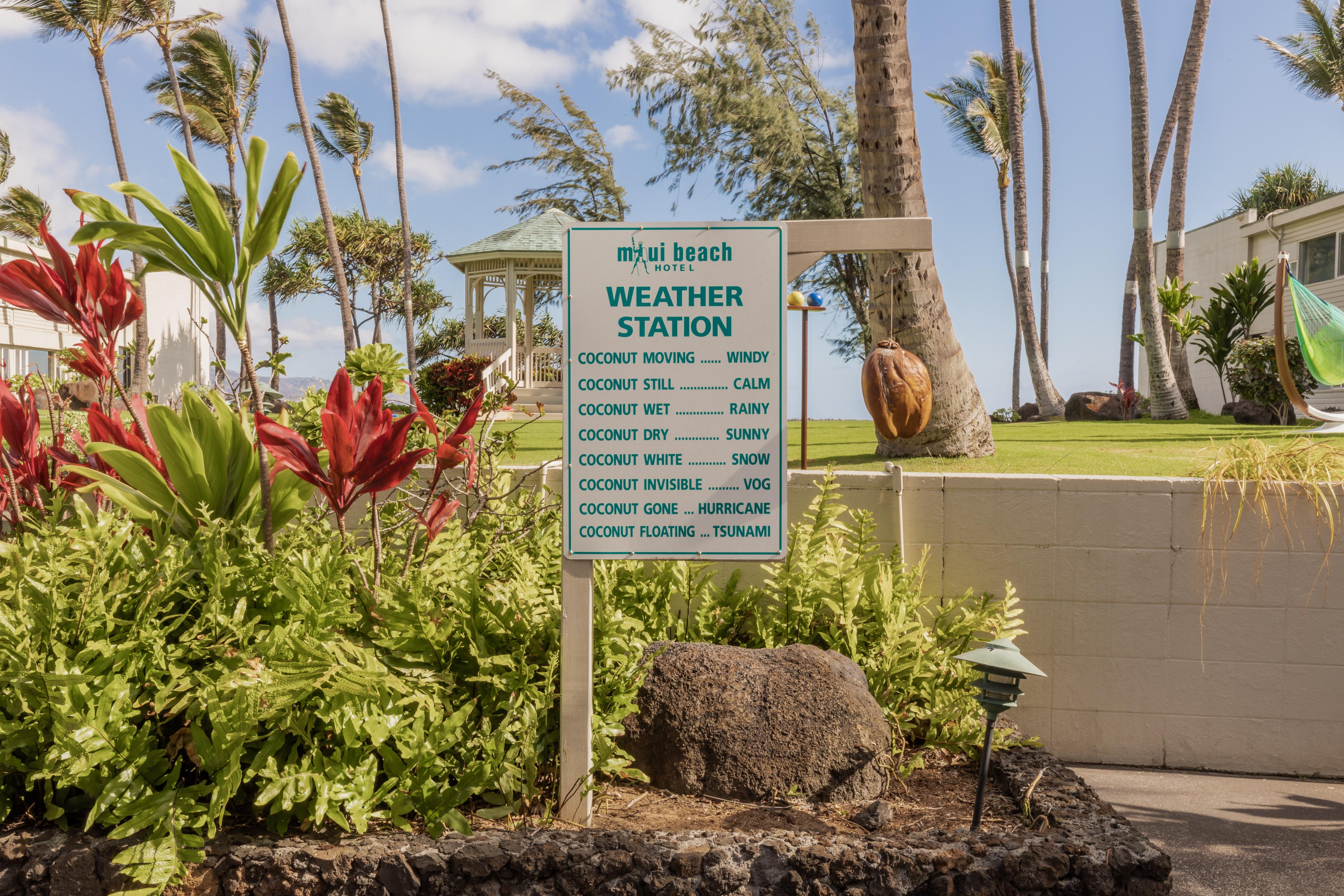 Maui Beach Hotel Kahului Dış mekan fotoğraf