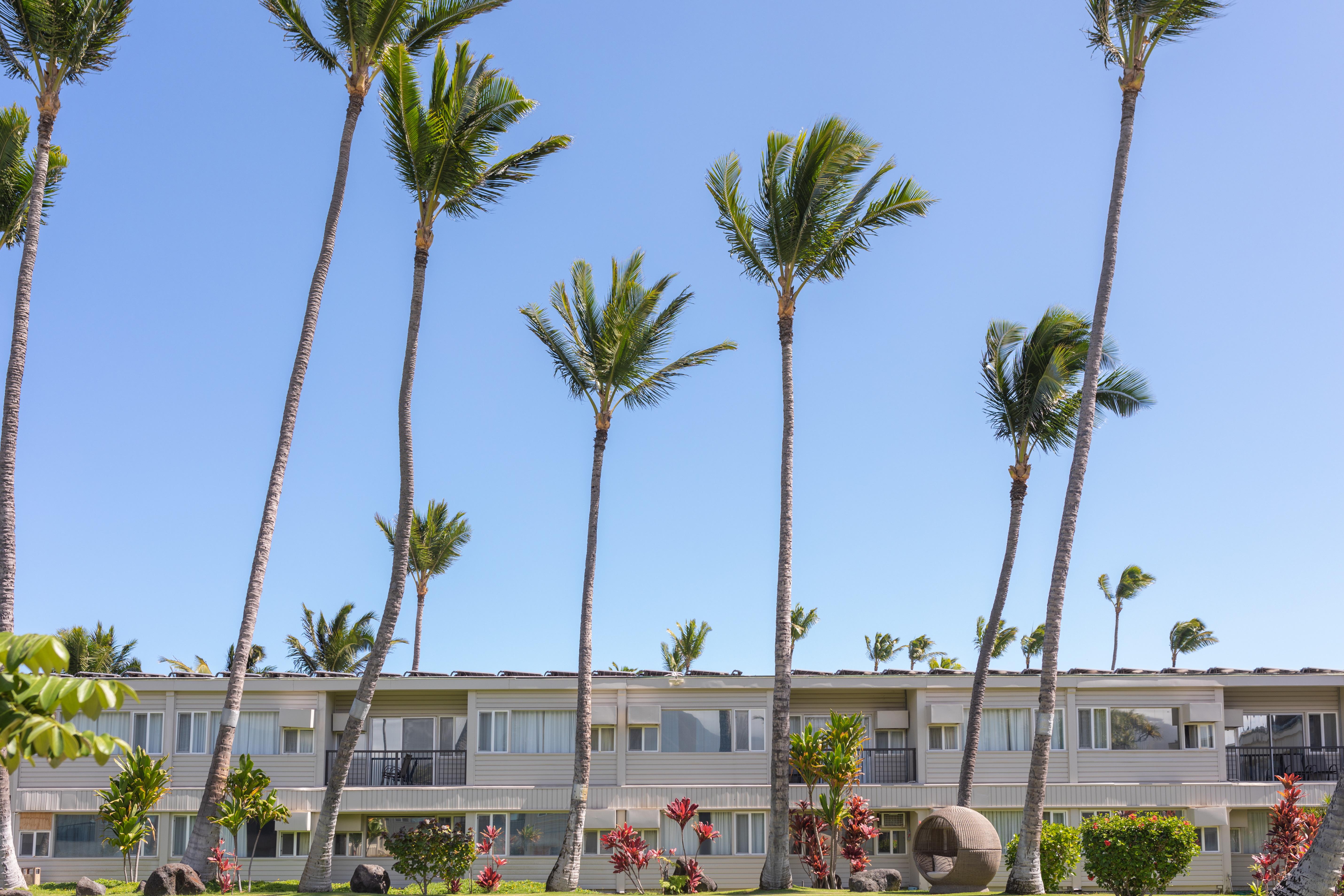 Maui Beach Hotel Kahului Dış mekan fotoğraf