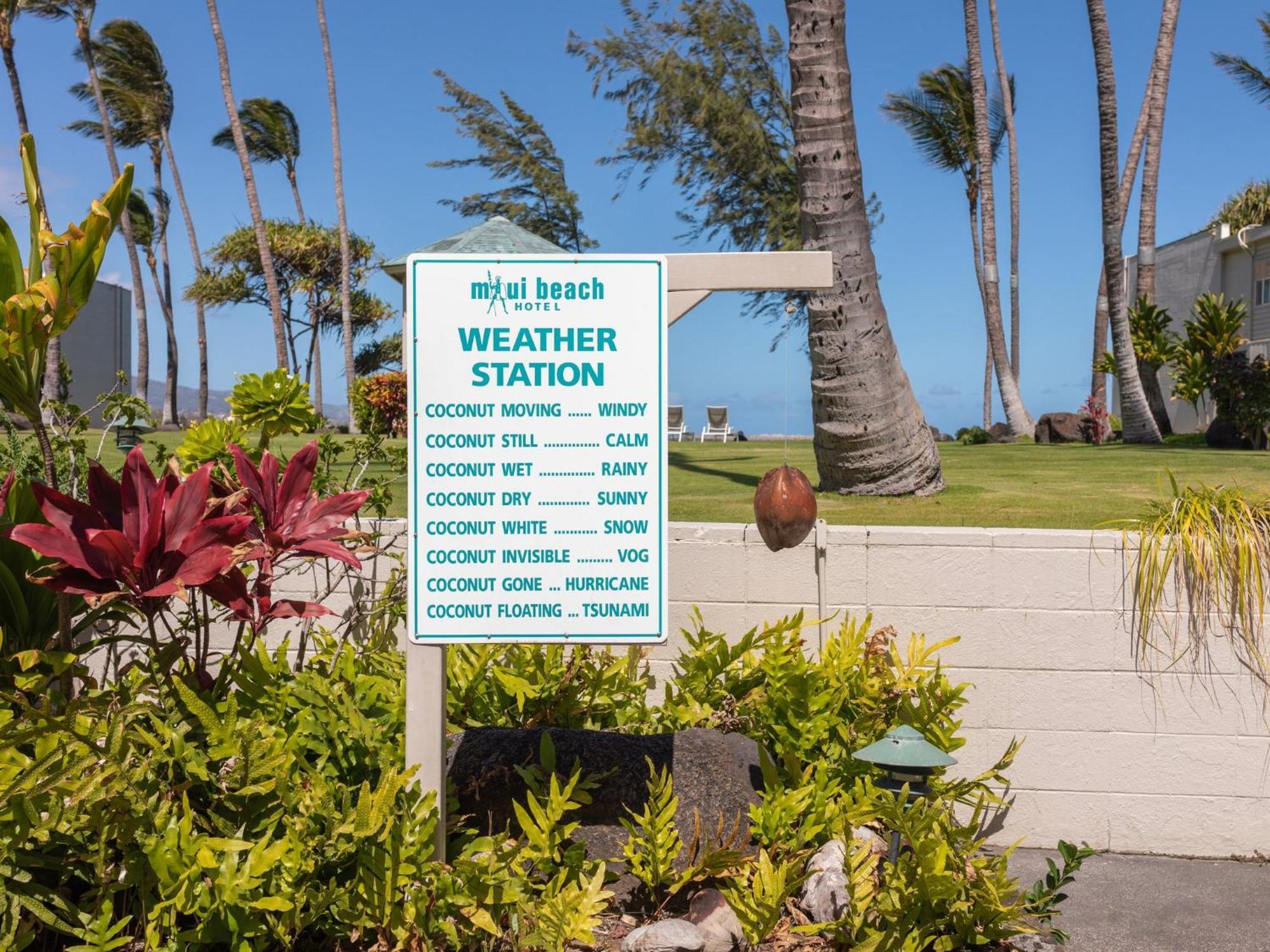 Maui Beach Hotel Kahului Dış mekan fotoğraf